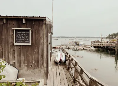 Unleash the Positivity – Top Ted Lasso Quotes for Inspiration!