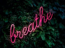 Get Inspired with Upbeat and Empowering Positive Quotes