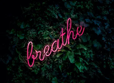 Get Inspired with Upbeat and Empowering Positive Quotes